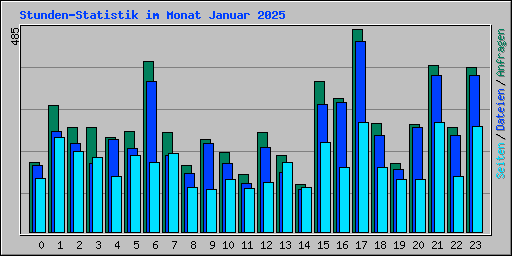 Stunden-Statistik im Monat Januar 2025