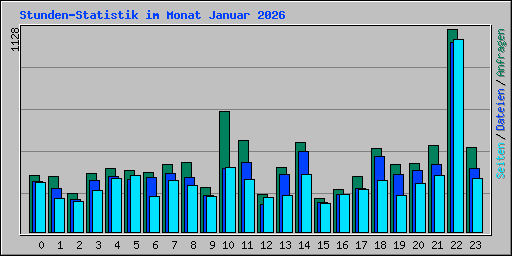 Stunden-Statistik im Monat Januar 2026