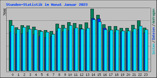Stunden-Statistik im Monat Januar 2023