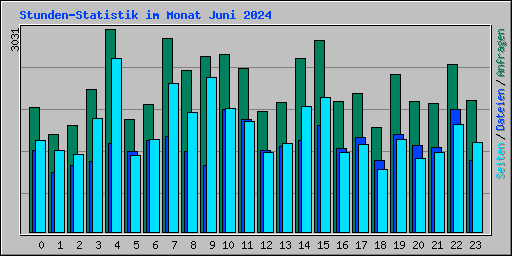 Stunden-Statistik im Monat Juni 2024