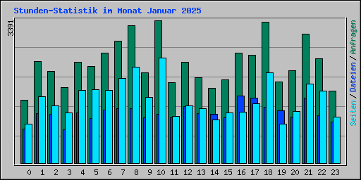 Stunden-Statistik im Monat Januar 2025