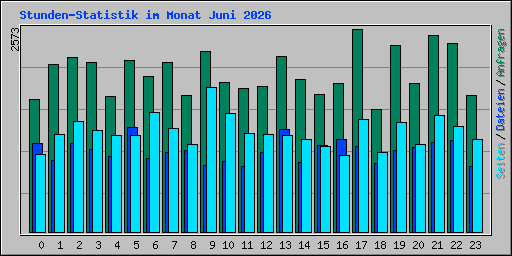 Stunden-Statistik im Monat Juni 2026