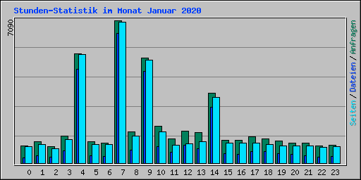 Stunden-Statistik im Monat Januar 2020