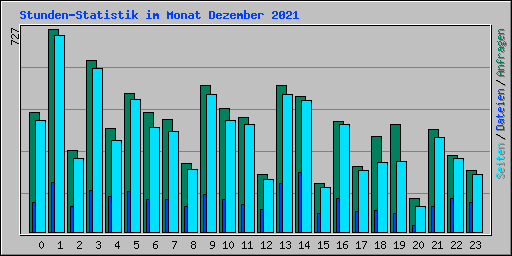 Stunden-Statistik im Monat Dezember 2021