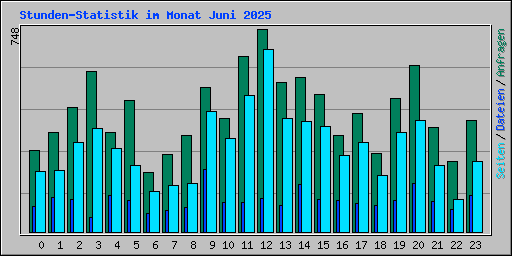 Stunden-Statistik im Monat Juni 2025
