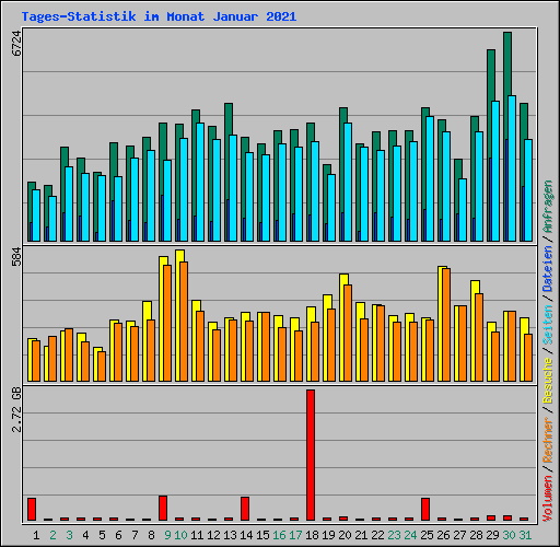 Tages-Statistik im Monat Januar 2021