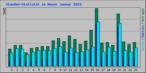 Stunden-Statistik im Monat Januar 2019