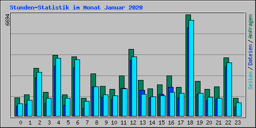 Stunden-Statistik im Monat Januar 2020