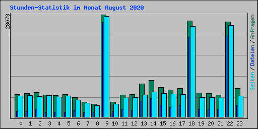 Stunden-Statistik im Monat August 2020