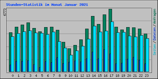 Stunden-Statistik im Monat Januar 2021