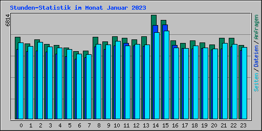 Stunden-Statistik im Monat Januar 2023