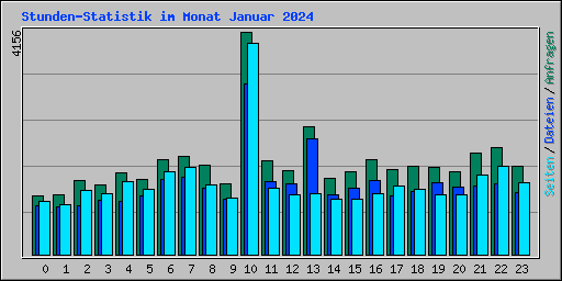 Stunden-Statistik im Monat Januar 2024