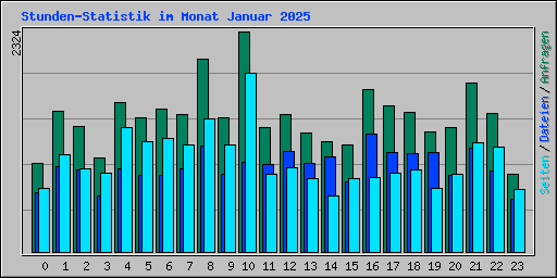Stunden-Statistik im Monat Januar 2025