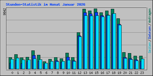 Stunden-Statistik im Monat Januar 2026